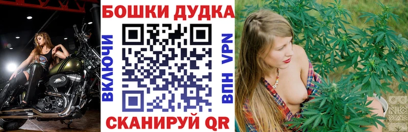 Купить закладки Могоча Марихуана планчик